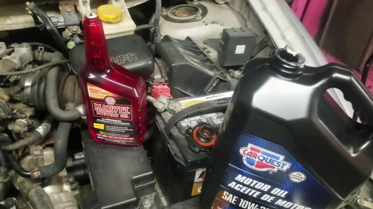 Clean and lubricate the motor