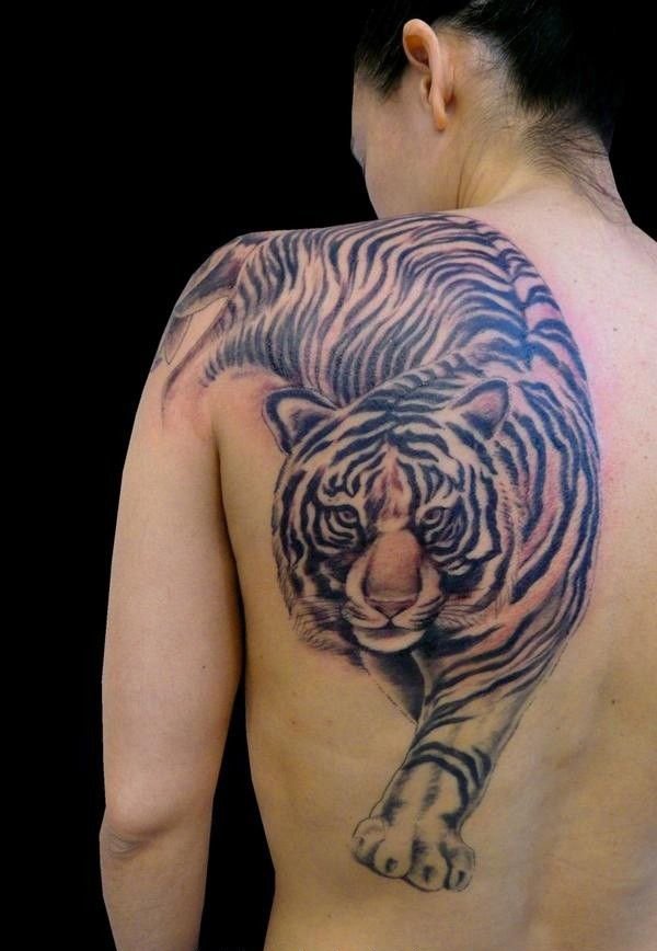 tiger animal tattoo idea