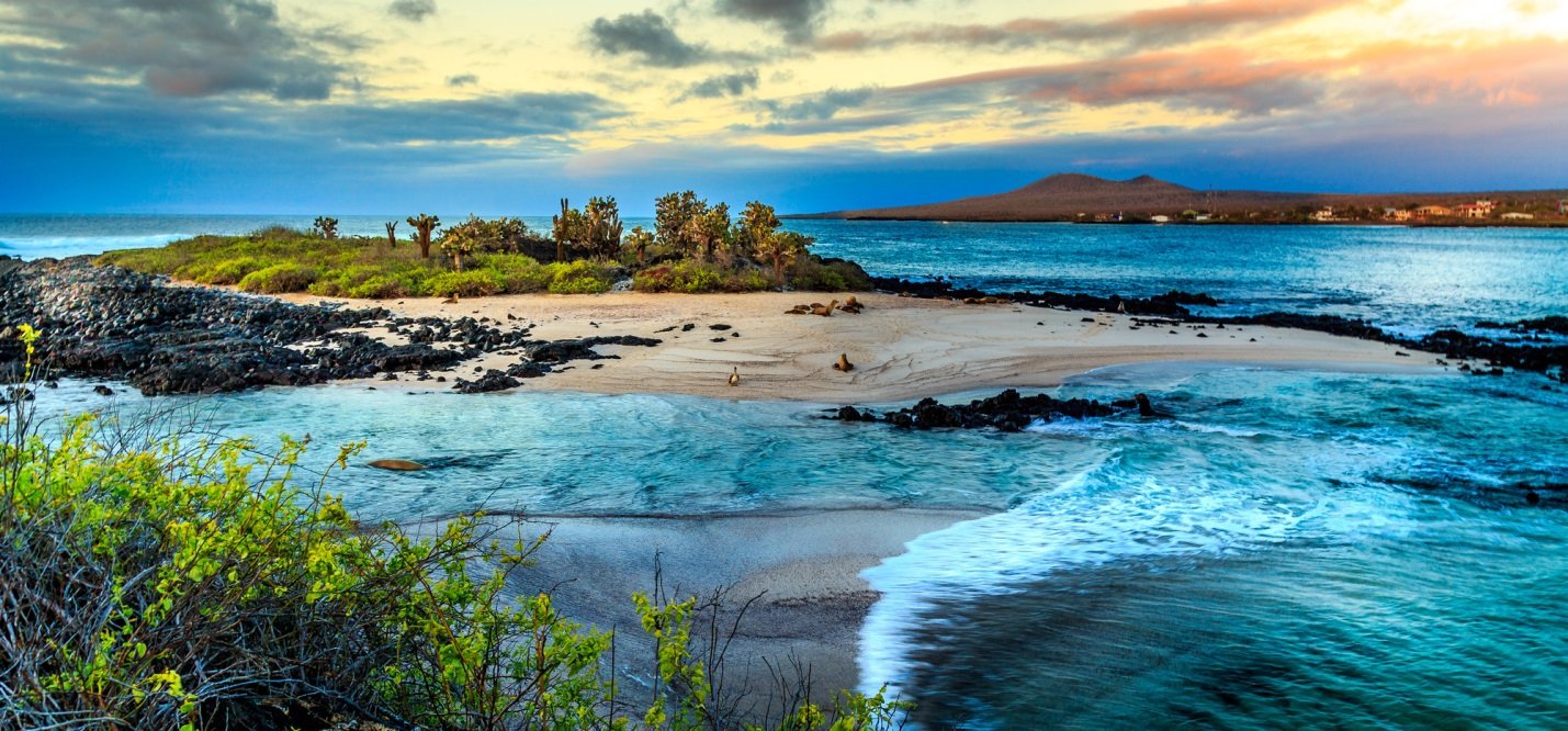 5 Reasons a Galapagos Beach is Your Next Island Getaway » Wassup Mate