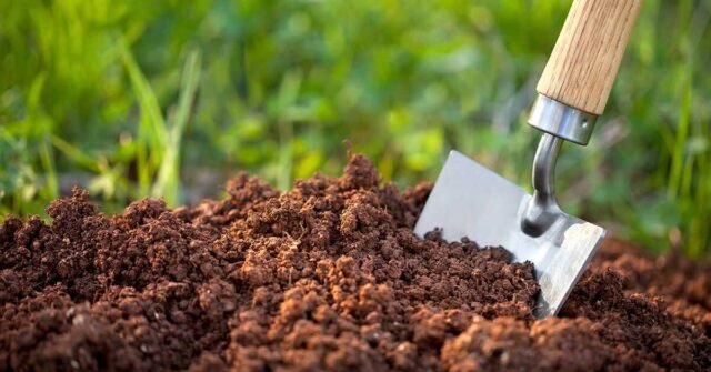 Best Ways to Find the Perfect Mixed Fertilizer Bundle » Wassup Mate